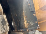 General Appearance with Paint