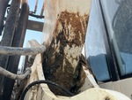v2 Chassis - Excavator with