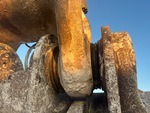 v2 Chassis - Excavator with