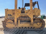 General Appearance with Paint