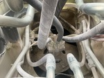 Hydraulics with Hydraulic Center Swivel