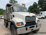 General Appearance with Paint
