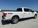 Picture, Right Rear Corner