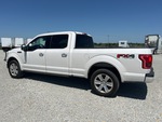 Picture, Left Rear Corner