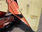 General Appearance with Paint