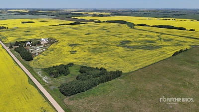 Ryley, AB SW 22-48-17-W4 146.2 +/- Acres on Title Farmland