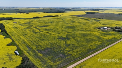 Ryley, AB SW 22-48-17-W4 146.2 +/- Acres on Title Tierras de Cultivo