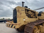 General Appearance with Paint