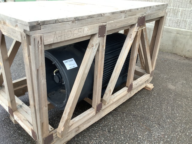 KCI MM303012 300 KW Electric Motor