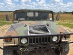 General Appearance with Paint