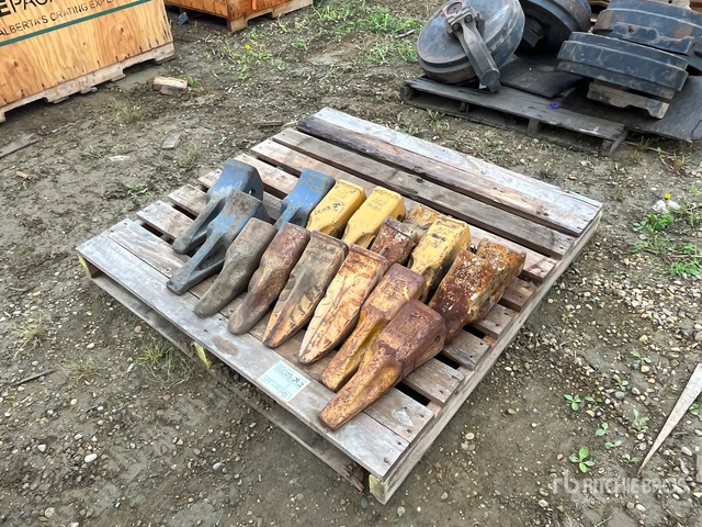 Quantity of Teeth | Ritchie Bros. Auctioneers