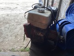 Picture, Left Rear Corner