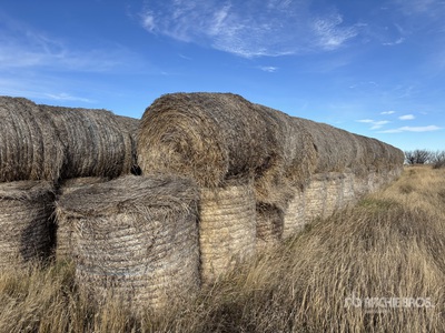 Quantity of 311 Bales Varios, empacadoras y equipos de heno
