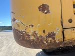 General Appearance with Paint