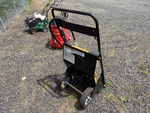 Picture, Right Rear Corner