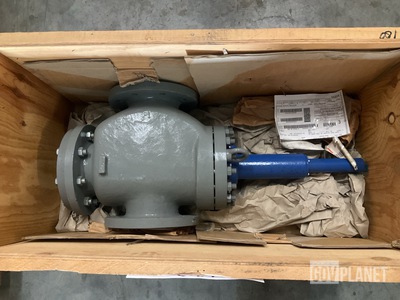Safety Relief Valve