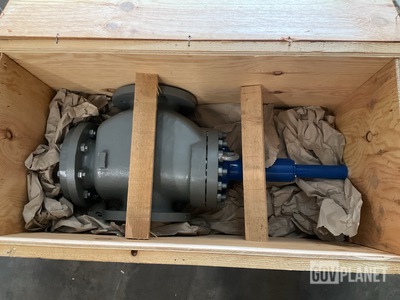 Safety Relief Valve