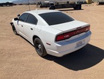 Picture, Left Rear Corner