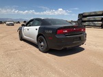 Picture, Right Rear Corner