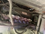 Engine with Exhaust System