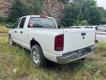 Picture, Left Rear Corner