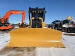 General Appearance with Paint