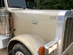 General Appearance with Paint