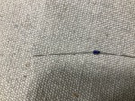 General Appearance #3