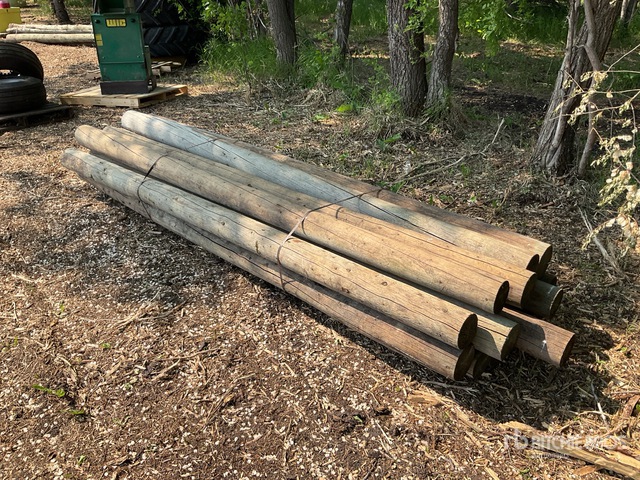 Quantity of (15) 10 ft 5 in x 6 in Treated Corner Fence Posts | Ritchie ...