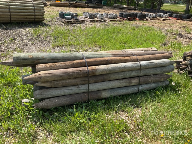 Quantity of (25) 8 ft x 5 in Treated Fence Posts | Ritchie Bros ...