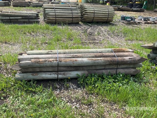 Quantity of (16) 8 ft x 6 in Treated Fence Posts | Ritchie Bros ...