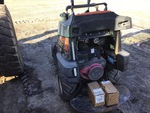 Picture, Left Rear Corner
