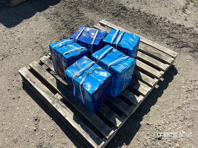 Quantity of (5) 2025 BYT ABTJK20 20T Air/Hydraulic Bottle Jack Varios, herramientas manuales (Unused)