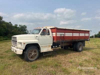 1981 Ford 4x2 Grain Truck