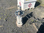 Picture, Left Rear Corner