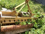 Picture, Right Rear Corner
