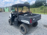 Picture, Left Rear Corner