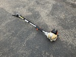 Picture, Left Rear Corner