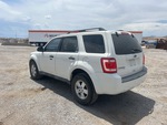 Picture, Left Rear Corner