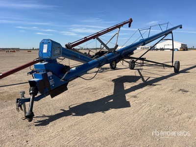 Brandt 1060 10 in x 60 ft Swing Swing-Away Transfer Vis sans fin à grain
