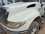 General Appearance with Paint