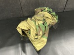 General Appearance #1