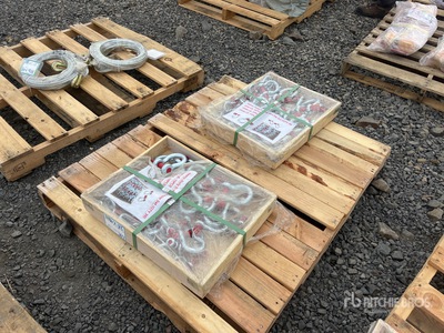 Quantity of (60) Shackle (Unused)