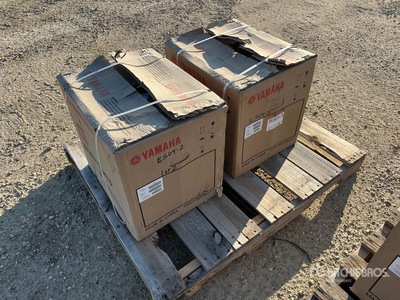 Quantity of (2) Bomba de agua