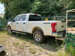Picture, Left Rear Corner