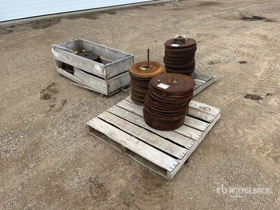 Quantity of 17 in Bourgault Discs