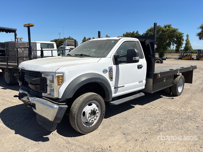 2019 Ford F-550 4x4 Autocarro ribaltabile con pianale fisso