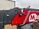 General Appearance with Paint