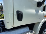 General Appearance with Paint