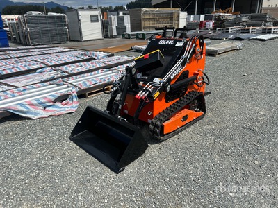 2025 SDLOOL SL36C を見 Compact Track Loader (Unused)